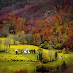 Les Alberts - La Coume Au Coeur De La Montagne - 3etoiles - 35m2 Ferienhaus Arrens-Marsous