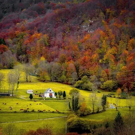 Les Alberts - La Coume Au Coeur De La Montagne - 3etoiles - 35m2 Holiday home Arrens-Marsous