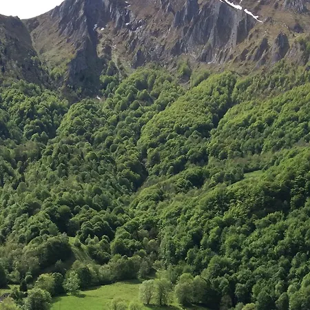 Les Alberts - La Coume Au Coeur De La Montagne - 3etoiles - 35m2 Arrens-Marsous