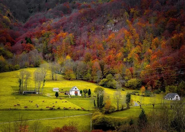 Les Alberts - La Coume Au Cœur De La Montagne - 3étoiles - 35m2 Hébergement de vacances Arrens-Marsous