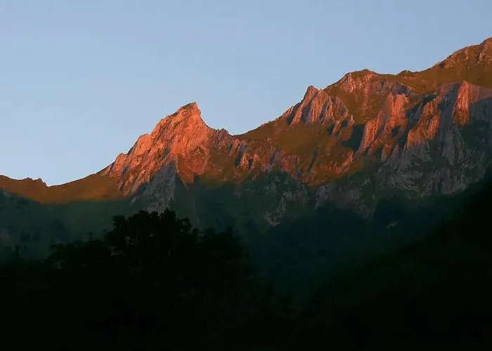 Les Alberts - La Coume Au Cœur De La Montagne - 3étoiles - 35m2 Hébergement de vacances *