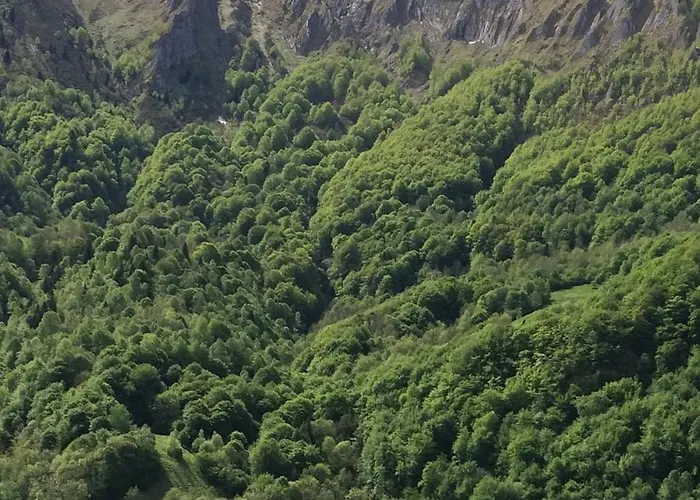 Les Alberts - La Coume Au Cœur De La Montagne - 3étoiles - 35m2 Arrens-Marsous